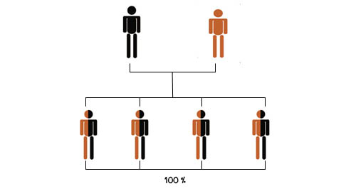 แผนภาพต้นไม้แสดงถ้าท่านหรือคู่สมรสของท่านเป็นโรคธาลัสซีเมีย โอกาสที่ลูกจะเป็นพาหะเท่ากับ 100% ลูกทุกคนจะมียีนแฝงของโรคธาลัสซีเมีย